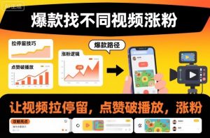 爆款找不同视频涨粉，让视频拉停留，实现点赞，破播放，涨粉-圆梦资源站