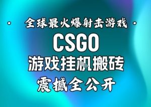 【年底大揭秘】基于全球最火爆的射击CSGO游戏挂G搬砖，日入5张+，震撼公开-圆梦资源站