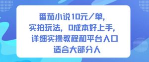 番茄小说10米每单，实拍玩法，0成本好上手，详细实操教程和平台入口适合大部分人-圆梦资源站
