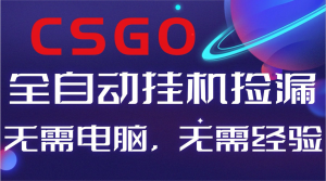 【副业好项目】全球火爆游戏CSGO自动捡漏，新手小白日入500+-圆梦资源站