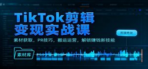 TikTok剪辑变现实战课：素材获取，PR技巧，搬运运营，解锁赚钱新技能-圆梦资源站