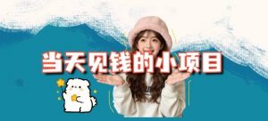 当天能收益的3个小项目拆解_包括平台+操作流程-圆梦资源站
