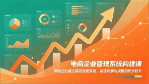 电商企业管理系统构建课：帮助企业建立高效运营系统，实现利润与规模的同步跃升-圆梦资源站