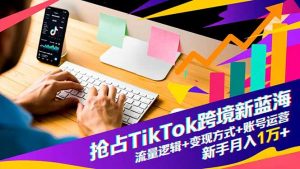 抢占TikTok跨境新蓝海：流量逻辑+变现方式+账号运营，新手月入1万+-圆梦资源站