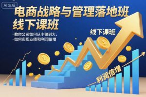 电商战略与管理落地班线下课，教你公司如何从小做到大，如何实现业绩和利润倍增【录音】-圆梦资源站