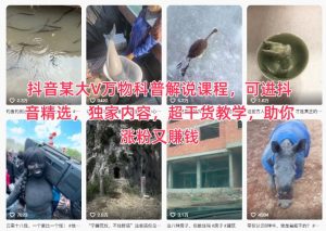 抖音某大V万物科普解说课程，可进抖音精选，独家内容，超干货教学，助你涨粉又賺钱-圆梦资源站