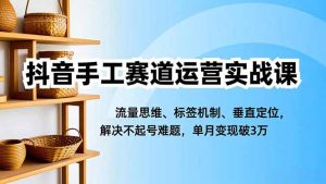 抖音手工赛道运营实战课,流量思维、标签机制、垂直定位,解决不起号难题,单月变现破3万-圆梦资源站