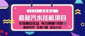 2025最新汽水音乐挂机项目 每天几分钟 轻松上w-圆梦资源站