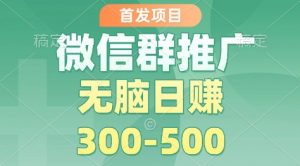首发项目，微信群推广掘金，多号矩阵无脑日入3-5张【揭秘】-圆梦资源站