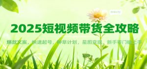 2025短视频带货全攻略：爆款文案，快速起号，种草计划，星图变现，新手零门槛上手-圆梦资源站