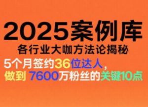 2025案例库，收录各行业大咖的方法论，各行业大咖方法论揭秘-圆梦资源站