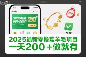 2025最新零撸薅羊毛项目，纯手机操作，20秒一单，无任何门槛，一天200+做就有【揭秘】-圆梦资源站