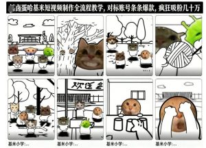 卤蛋哈基米短视频制作全流程教学,条条爆款,疯狂吸粉几十万-圆梦资源站