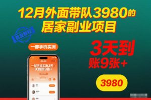 12月外面带队3980的居家副业项目，一部手机实测3天到账9张+，首发教程【揭秘】-圆梦资源站