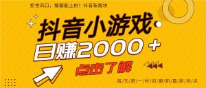 5年爆火的抖音小游戏项目,一部手机日入2000+-圆梦资源站