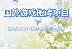 国外游戏全自动搬砖项目，日入10张，新手小白也可做，项目红利期，先搞先吃肉【揭秘】-圆梦资源站