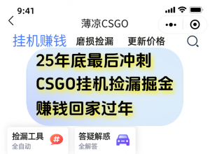 用CSGO游戏挂机捡漏掘金赚钱掘金，一部手机轻松日入500+-圆梦资源站