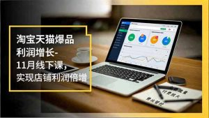 淘宝天猫爆品利润增长-11月线下课，免费流量、付费放大、费比管控，实现店铺利润倍增-圆梦资源站