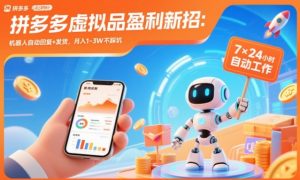 拼多多虚拟品盈利新招：机器人自动回复+发货，月入1-3W不踩坑【揭秘】-圆梦资源站