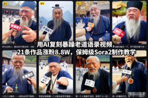 用AI复刻暴躁老道语录视频,21条作品涨粉8.8W,保姆级Sora2制作教学-圆梦资源站