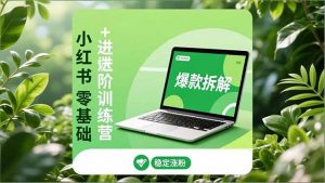 小红书零基础+高阶训练营:安全养号、爆款拆解、长效运营,实现稳定涨粉与变现-圆梦资源站