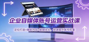 企业自媒体账号运营实战课：定位打造+ 爆款内容+数据优化，快速提升账号权重-圆梦资源站