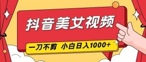 抖音美女视频，一刀不剪，两分钟一条视频，小白轻松上手，日入1000-圆梦资源站