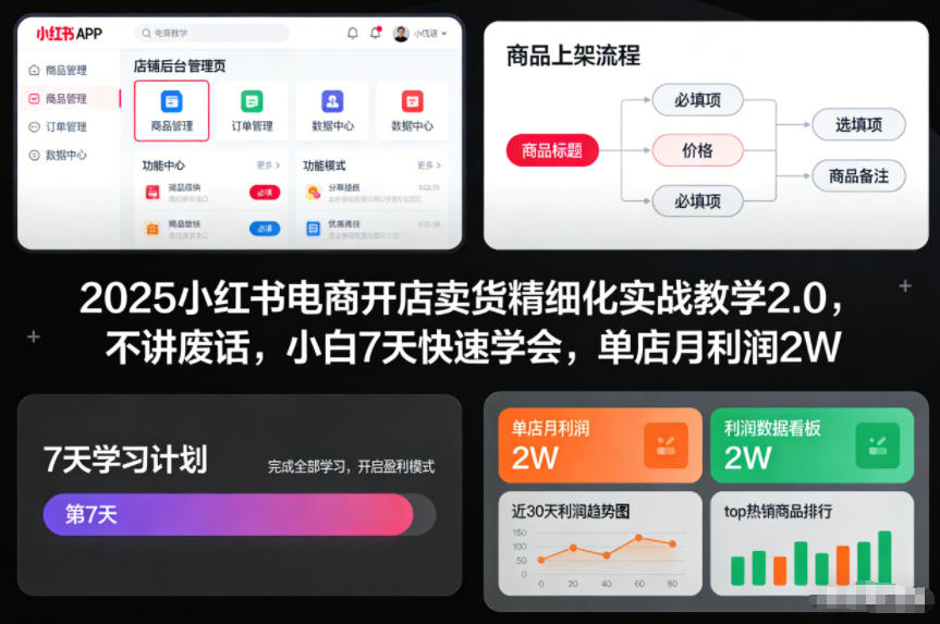 2025小红书电商开店卖货精细化实战教学2.0，不讲废话，小白7天快速学会，单店月利润2W