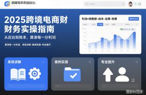 2025跨境电商财务实操指南，从后台到账本，算清每一分利润，系统讲解-案例实操-专业提升-圆梦资源站