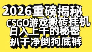 2026开年重磅解密,CSGO游戏搬砖挂G日入1k+的秘密,把倒狗的底裤扒干【揭秘】-圆梦资源站