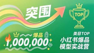 小红书爆品模型实战营，从新品突围到成为类目TOP，可复制路径，打造多个营收百万级爆品-圆梦资源站