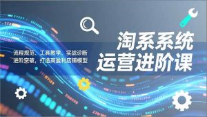 淘系系统运营进阶课2.0，流程规范、工具教学、实战诊断，进阶突破，打造高盈利店铺模型-圆梦资源站