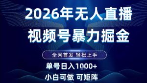 2026最新视频号无人直播掘金，全网首发，小白可以玩，长期稳定日入1k+【揭秘】-圆梦资源站