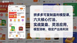 拼多多可复制盈利模型课，六大核心打法、实战复盘、灵活应用，模型清晰，稳定产出高利润-圆梦资源站