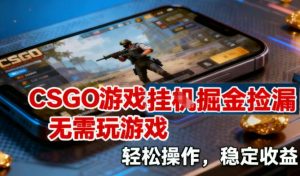 CSGO游戏挂G掘金捡漏，不需要玩游戏，操作简单，收益稳定【揭秘】-圆梦资源站