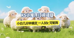 小程序订阅项目_小白几分钟搞定,一人88米,可矩阵(已测到账)-圆梦资源站