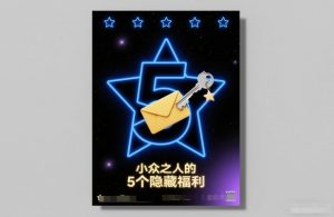 付费文章:小众之人的5个隐藏福利-圆梦资源站