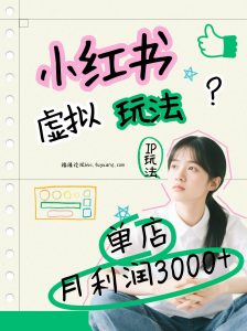 小红书虚拟玩法(铺货流和单品玩法)，单店月利润3000+，IP打法+原创商品(0违规)-圆梦资源站