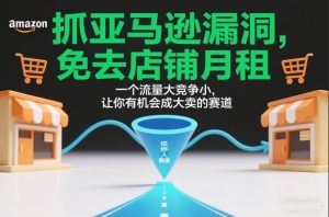 抓亚马逊漏洞，免去店铺月租，一个流量大竞争小，让你有机会成大卖的赛道-圆梦资源站