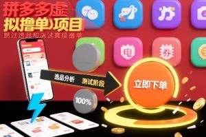 拼多多虚拟撸单项目，跳过选品和测试直接撸单-圆梦资源站