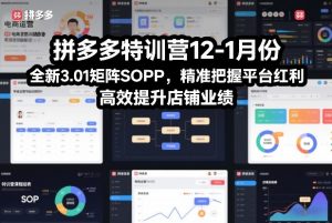 拼多多特训营12-1月份，全新3.01矩阵Sop，精准把握平台红利，高效提升店铺业绩-圆梦资源站