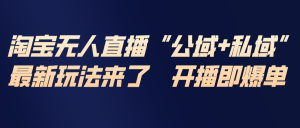 淘宝无人直播最新玩法，包含私域和公域两种玩法-圆梦资源站
