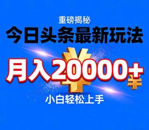 今日头条代运营最新玩法，轻轻松松月入20000＋-圆梦资源站