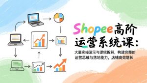 Shopee高阶运营系统课：大量实操演示与逻辑拆解，构建完整的运营思维与落地能力，店铺高效增长-圆梦资源站