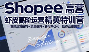 Shopee虾皮高阶运营精英特训营，高阶运营技巧+流量提升+转化率优化，助你业绩翻倍-圆梦资源站
