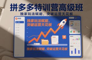 拼多多特训营高阶班，独家玩法赋能，突破运营天花板(更新26年1月)-圆梦资源站