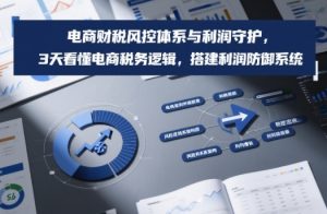 电商财税风控体系与利润守护，3天看懂电商税务逻辑，搭建利润防御系统-圆梦资源站