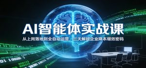 AI智能体实战课：从上岗落地到全自动运营，三天解锁企业降本增效密码-圆梦资源站