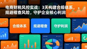 电商财税风控实战:3天构建合规体系,规避稽查风险,守护企业核心利润-圆梦资源站