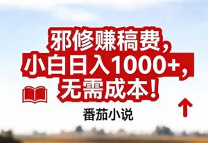番茄小说赚稿费邪修玩法无需成本，真实日入1000+，超级简单！-圆梦资源站